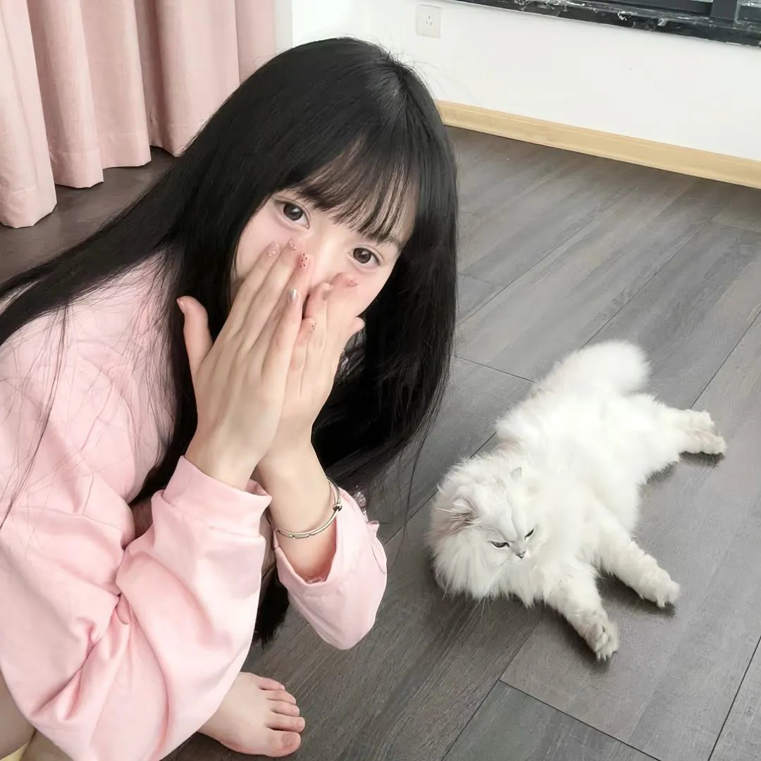 北纬33度